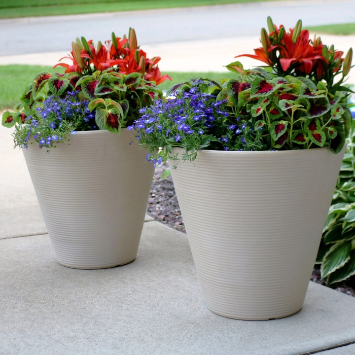 Pot plant shade plants containers garden container flowers loving cool porch sunset patio silver