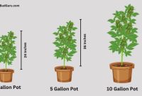 3 gallon plant pots