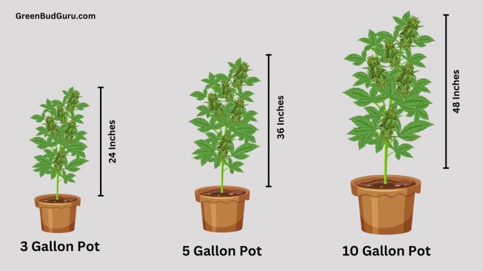 3 gallon plant pots